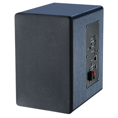 DN-923 IP network active speaker