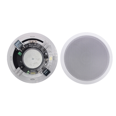 Active Ceiling Speaker XL-32BL