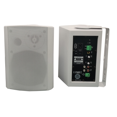 Wall-mounted speaker XL-525W